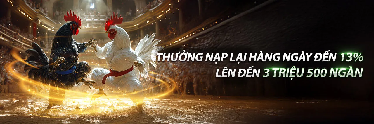 Hình ảnh chính c8bet Nổ Hũ 2026 với các ưu đãi và trò chơi hấp dẫn