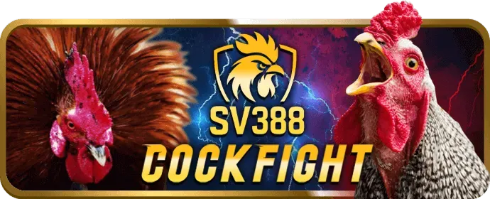 Quản lý tài khoản riêng cho VIP c8bet nổ hũ